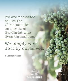 Fruitful Living quote