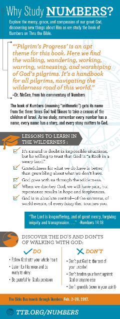 Why Study Numbers Why Study Numbers